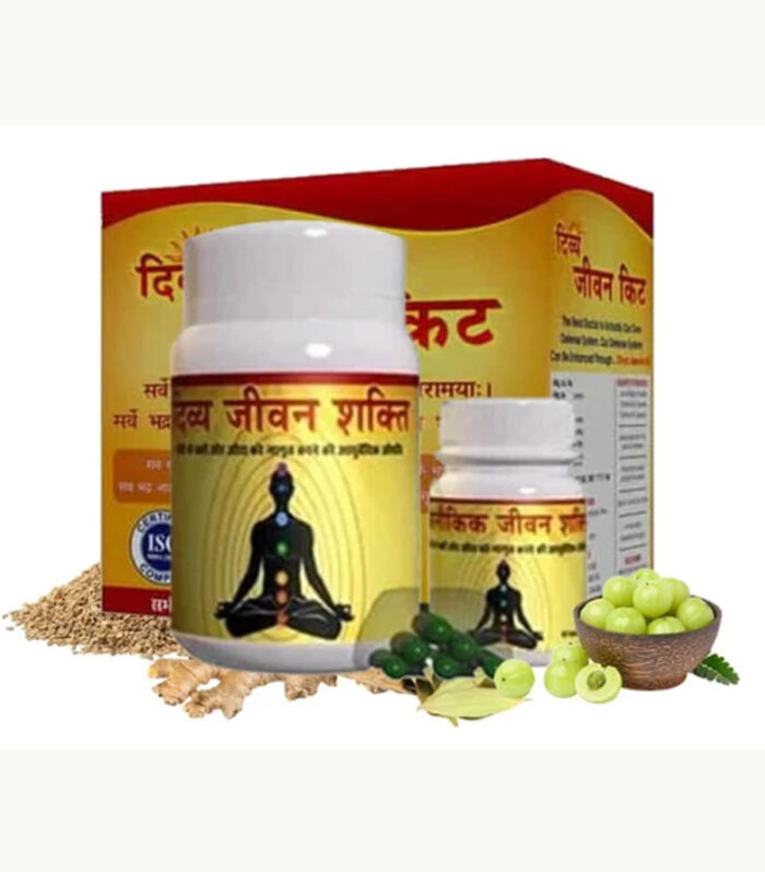 Ayurvedic Divya Jeevan Kit – Digestive & Overall Wellness Support