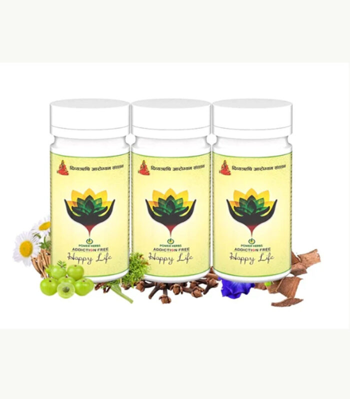 Ayurvedic Addiction Free – 100 g × 3 Bottles